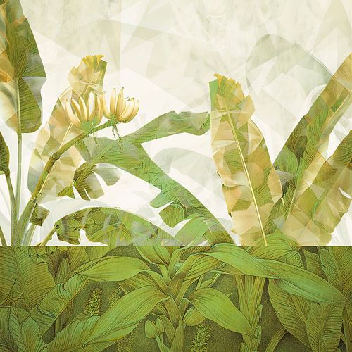 Bananenbladeren, tropische planten collage