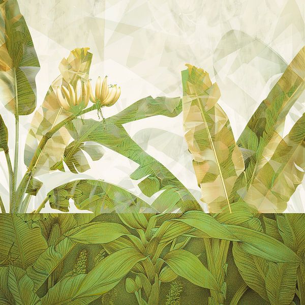 Bananenbladeren, tropische planten collage van Vlindertuin-Art