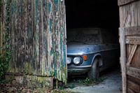 Shy car