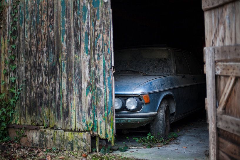 Shy car by Michel Nicolaes