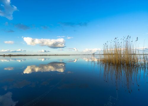 Gespiegelten See von Roelof Nijholt