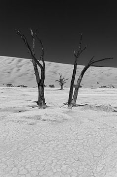 Sossusvlei Namibia (6) Black and White by Adelheid Smitt