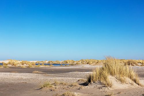 Le moteur à sable dans Monster