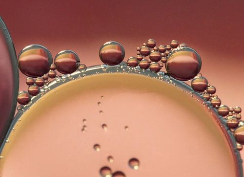 Together we are strong