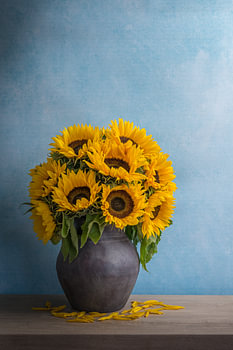 Stilleven met zonnebloemen