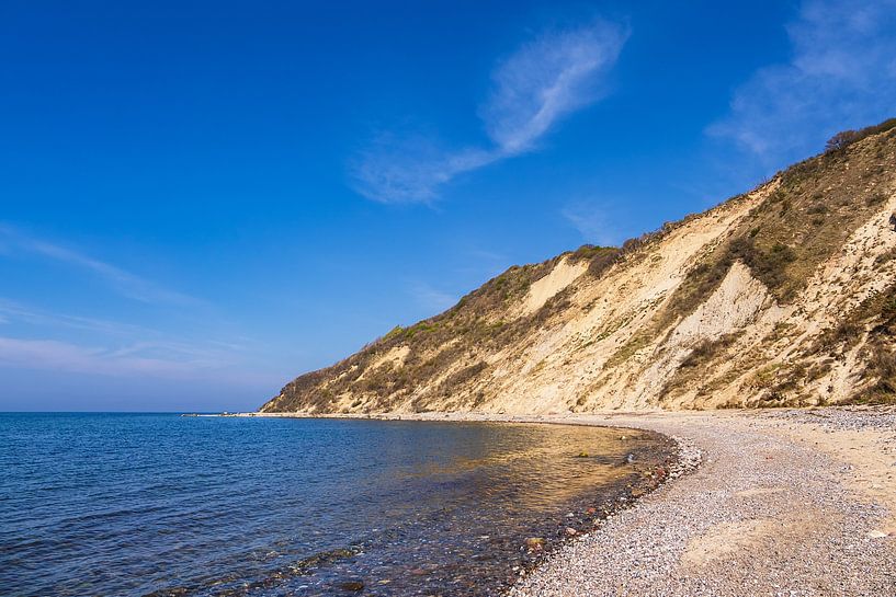 Steep coast at thorn bush on the island Hiddensee by Rico Ködder