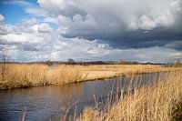 Landschap | provincie Utrecht