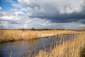 Landschap | provincie Utrecht van Claudia van Kuijk