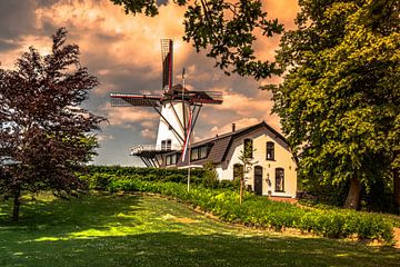 butterfly mill by EDDYBERGER