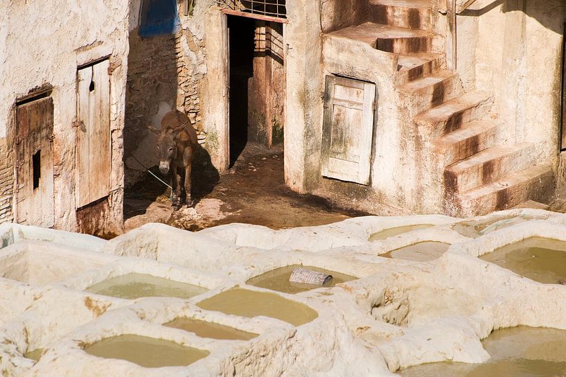 Leerlooierij in Marokko van Gonnie van de Schans