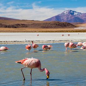 Hedionda lagune in Bolivia met flamingo's van Eveline Dekkers