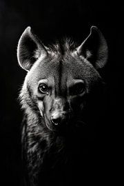 Hyena by Poster Art Shop
