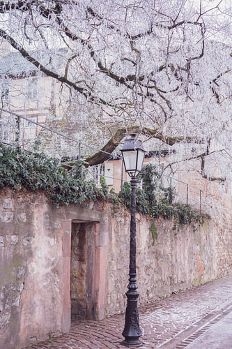 Winter in Colmar, Frankrijk. Reis en straatfotografie