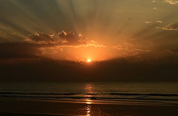 Sonnenuntergang, mit Sonnenharfe und Vogel, in Gambia von Renzo de Jonge