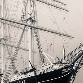 Les alizés sur Stephan Zaun