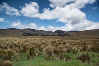 Lakes Of Ozogoche
