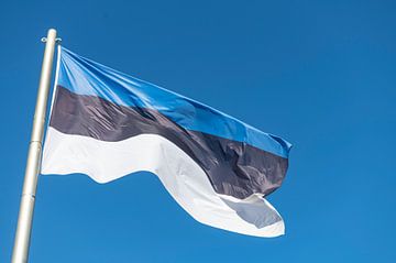 Estonian flag by Richard Wareham