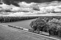 Oude dieselgoederentrein op het platteland van bovenaf gezien van Sjoerd van der Wal Fotografie thumbnail