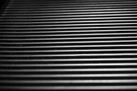 Black and white ribs