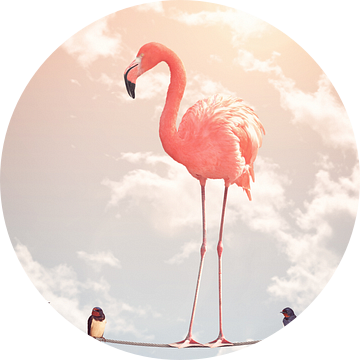 Flamingo & Vrienden van Jonas Loose