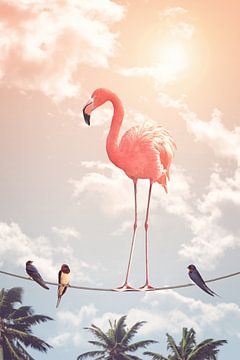 Flamingo & Friends by Jonas Loose