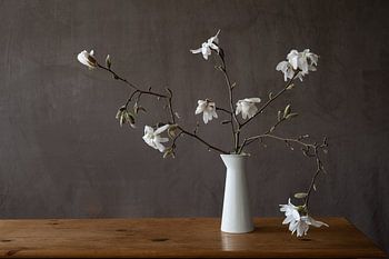 Still life Magnolia