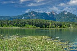 het Turnersee bij St. Kanzian in Karinthië, Oostenrijk