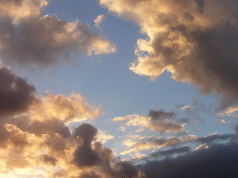 Wolkenlucht von Lotte Veldt