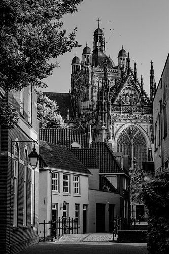 In the Farmers Sleeve