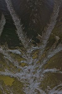 Motifs de glace sur une fenêtre froide