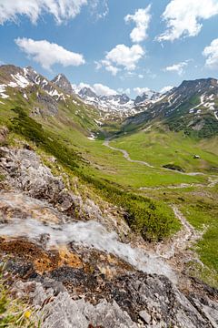 Blumige Aussicht auf die Lechtaler Alpen und den Valluga von Leo Schindzielorz