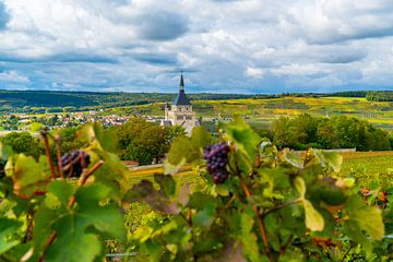 View of a village in the Champagne region of France with grapes in the foreground by Ivo de Rooij