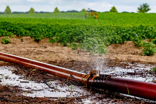 Am Stadtrand von Roermond besprüht ein Landwirt sein Land. Alle Wassermanager in den Niederlanden se