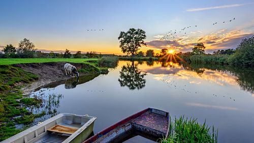 Magische zonsondergang aan de Oude Leie