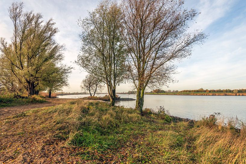 Herbst an den Ufern des Lek, Streefkerk von Ruud Morijn