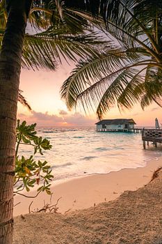 Zicht op de zonsopgang door de palmbomen