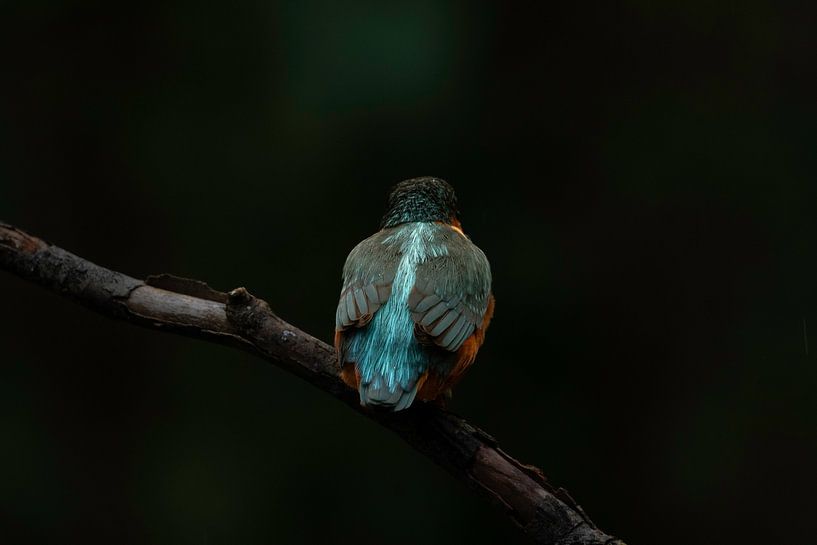 blaue Linie von vdzwanfotografie