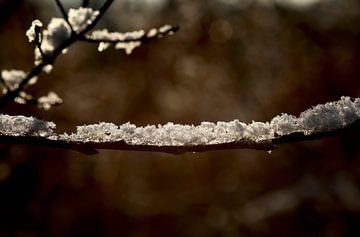 Wintertijd