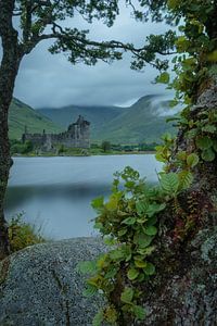 Schloss Kilchurn in Schottland mit einem Rahmen aus Zweigen und Blättern