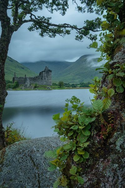 Schloss Kilchurn in Schottland mit einem Rahmen aus Zweigen und Blättern von Anges van der Logt