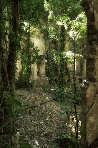 Villa Albero