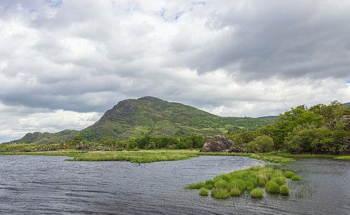 Owengarriff River Killarney (Ierland)