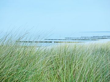 Uitzicht door de duinen naar de Oostzee van Katrin May