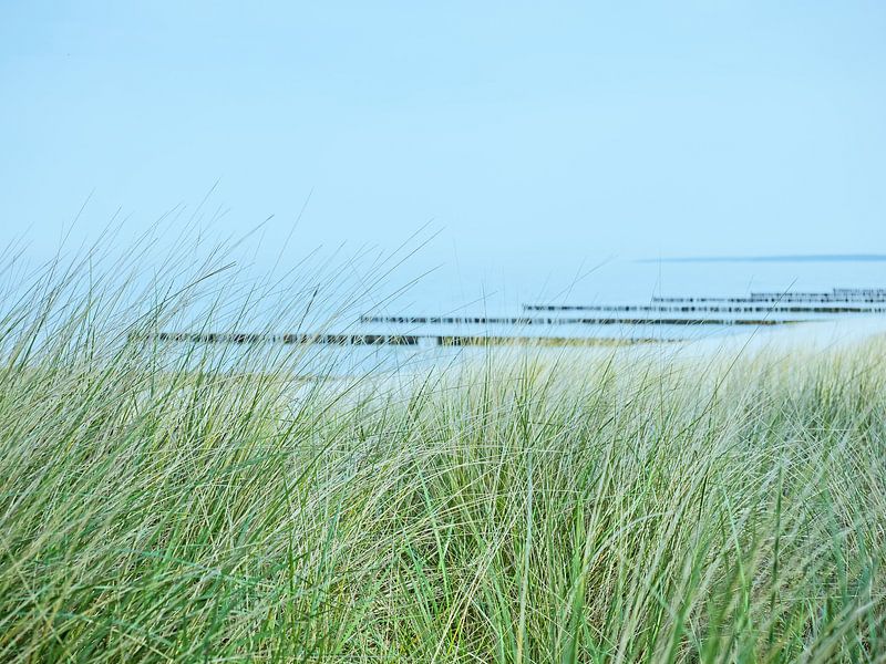Blick durch die Dünen zur Ostsee von Katrin May