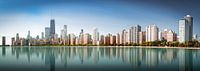 Chicago Skyline by Remco Piet thumbnail