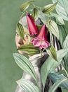 Meisje met de Parel - the Shy Edition by Marja van den Hurk thumbnail