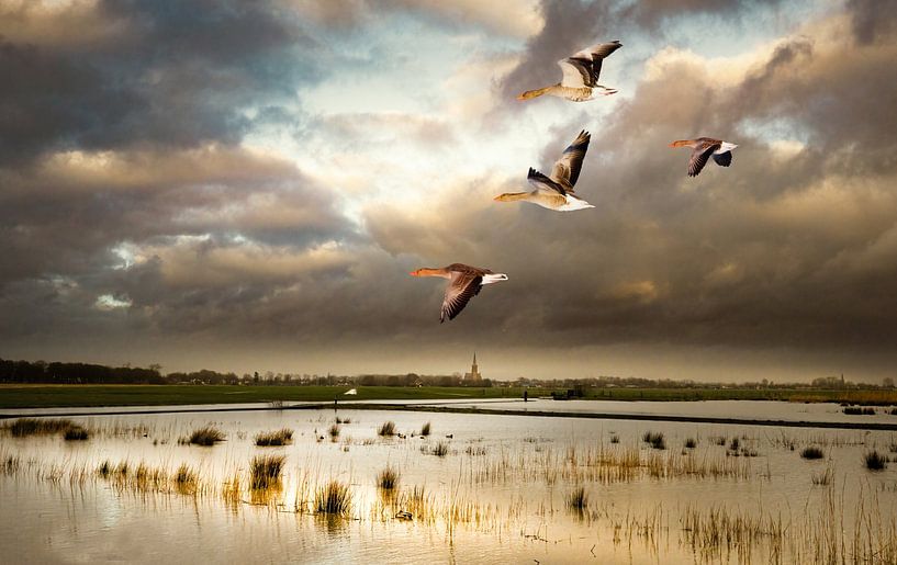 After the storm by Gerard Wielenga