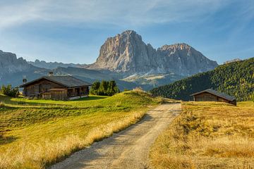 Blick zum Langkofel in Südtirol von Michael Valjak