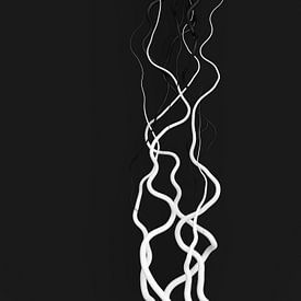 Zwart-witte tentakels van Jörg Hausmann