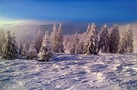 Winter im Schwarzwald von Patrick Lohmüller Miniaturansicht